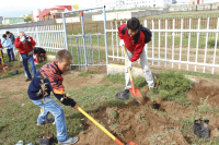 モンゴル国植林事業