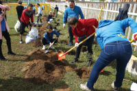 モンゴル国植林事業