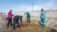 モンゴル国植林事業